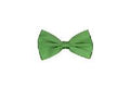 Silk Satin Bowtie Kiwi Green