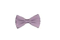 Silk Satin Bowtie Lilac