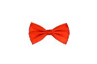 Silk Satin Bowtie Orange