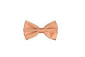 Silk Satin Bowtie Peach
