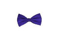 Silk Satin Bowtie Purple