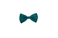 Silk Satin Bowtie Teal