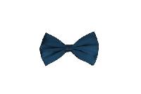 Silk Satin Bowtie Sapphire