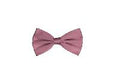 Silk Satin Bowtie Eggplant