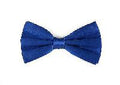 Silk Satin Bowtie Royal Blue