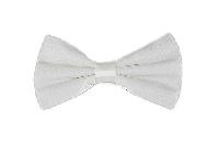Silk Satin Bowtie White